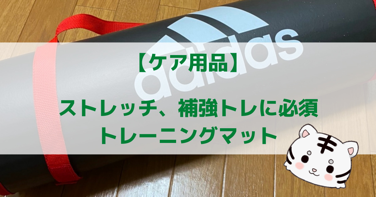 【ケア用品】ストレッチ、補強トレに必須 トレーニングマット