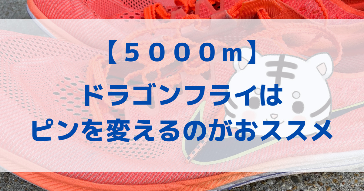 【5000m】NIKE ドラゴンフライのピンを変えた方が良い人