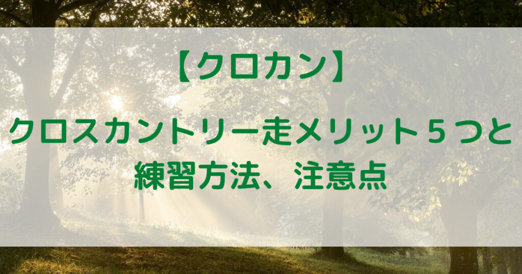 【クロカン】クロスカントリー走のメリット５つとやり方、注意点