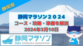【静岡マラソン】2024完走レビューのコース紹介と攻略ポイントを徹底解説 